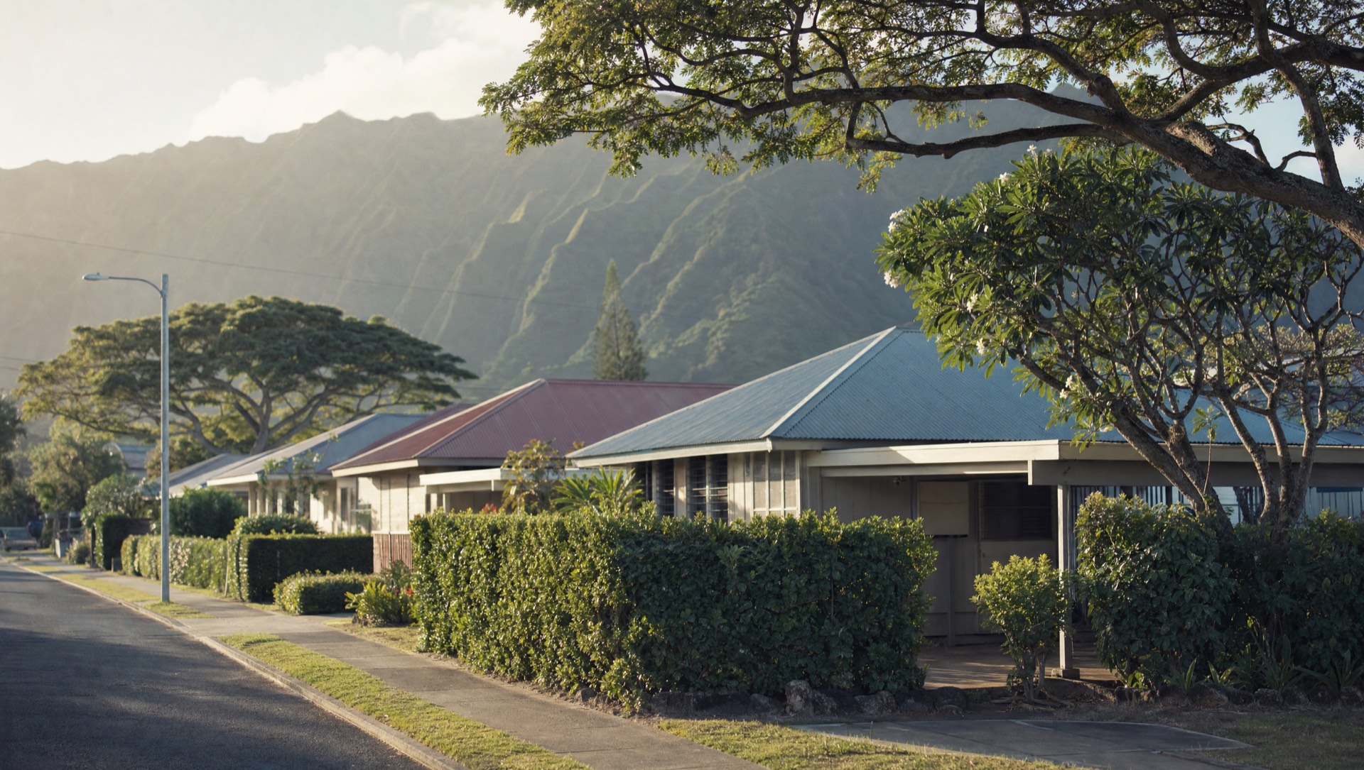 A residential street of single-story Oʻahu homes with hedged front yards, with the Koʻolau ridge behind them.