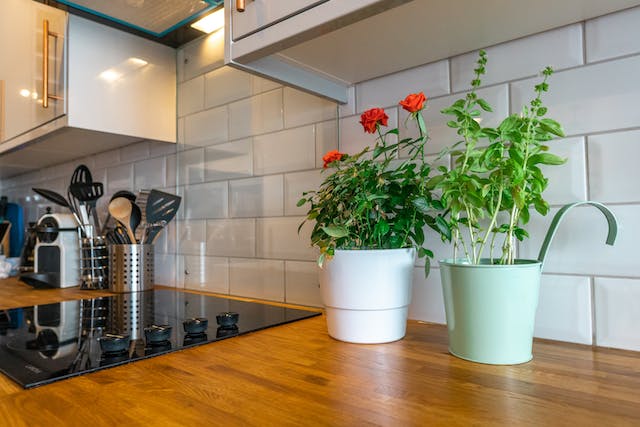 A clean, rental-ready kitchen counter with utensils and potted herbs.