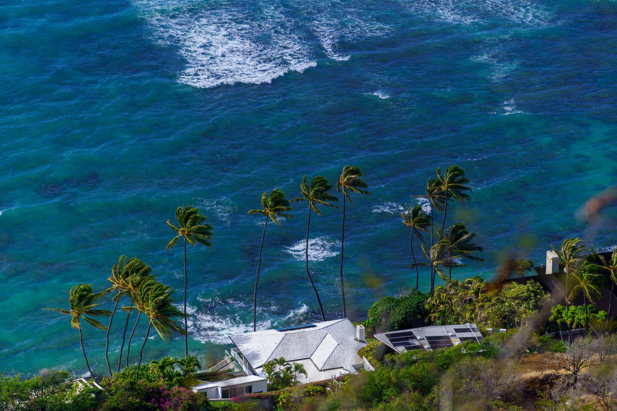 An oceanfront Oahu home with wind-bent palms above a rough, salt-spraying sea.
