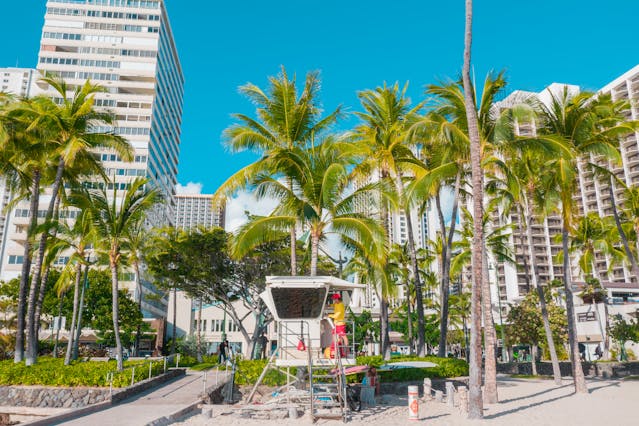 palm-trees-on-beach-with-condos-behind-them-and-a-lifeguard-stand