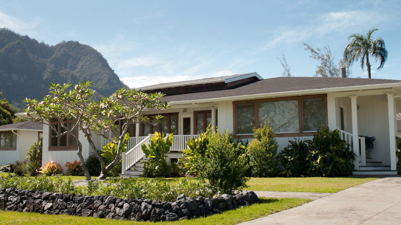 A bright white single-story Oʻahu home with wood-trimmed windows and a covered front lanai, a blooming plumeria tree, tropical plants and a lava rock wall, with a green mountain ridge under a blue sky.